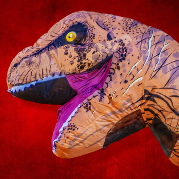Jolly Rex Experience